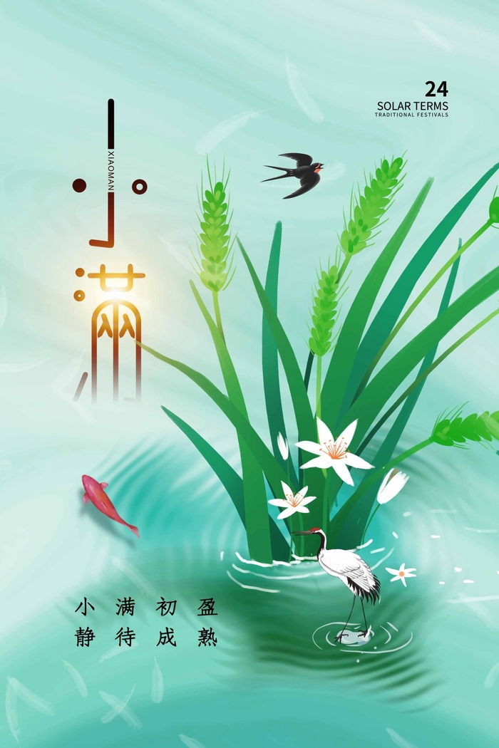 小满 传统节气海报psd模版下载