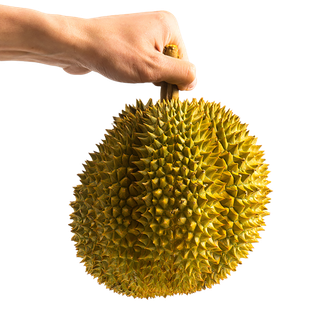 榴莲水果超市商品白底图免抠实物摄影png格式图片透明底