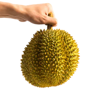 榴莲水果超市商品白底图免抠实物摄影png格式图片透明底