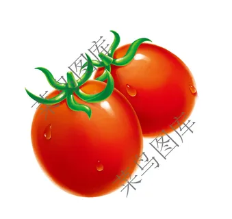 番茄，圣女果高清图