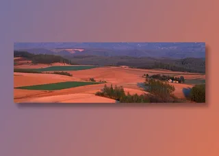 红色沙丘中的绿色草地