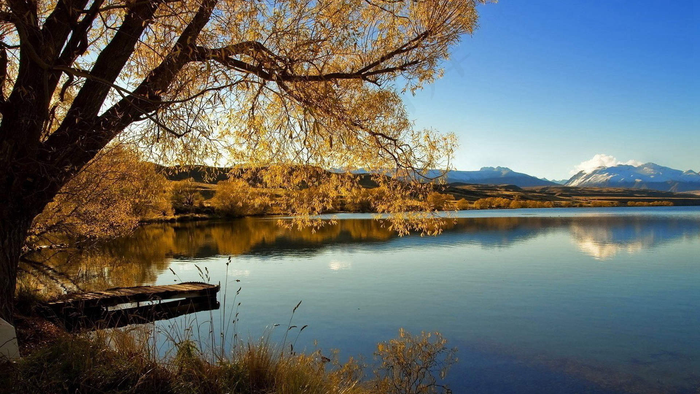 秋天秋日树落叶湖面高清背景