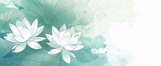 夏天荷花荷叶手绘绿色插画，夏至小暑大暑