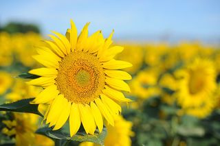 美丽风景 天空 风景 素材