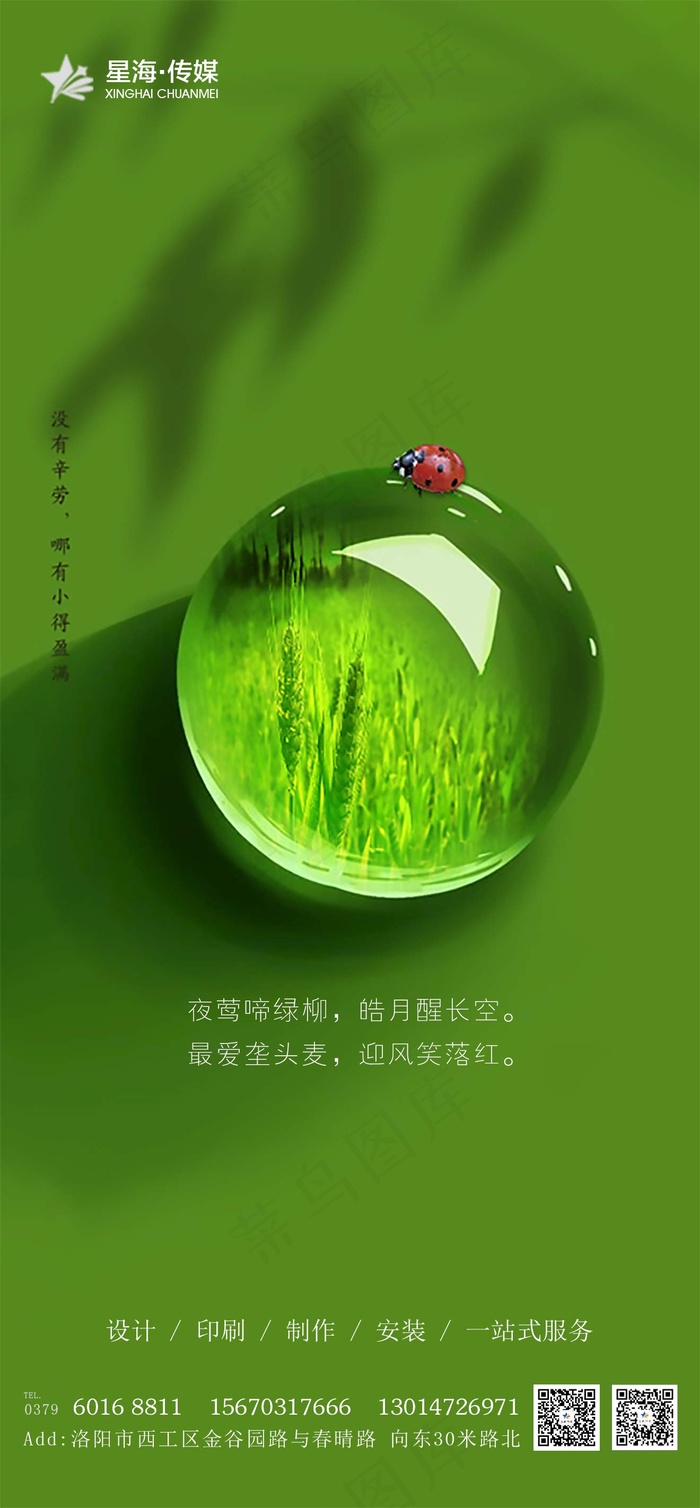 小满 朋友圈 24节气  节气 活动