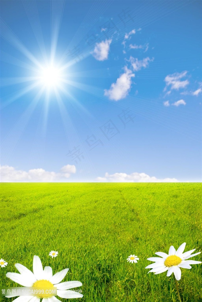 高清蓝天草地鲜花风景图片下载