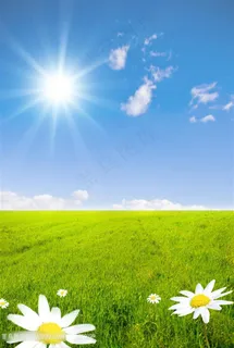 高清蓝天草地鲜花风景图片下载 高清蓝天草地鲜花风景图片下载