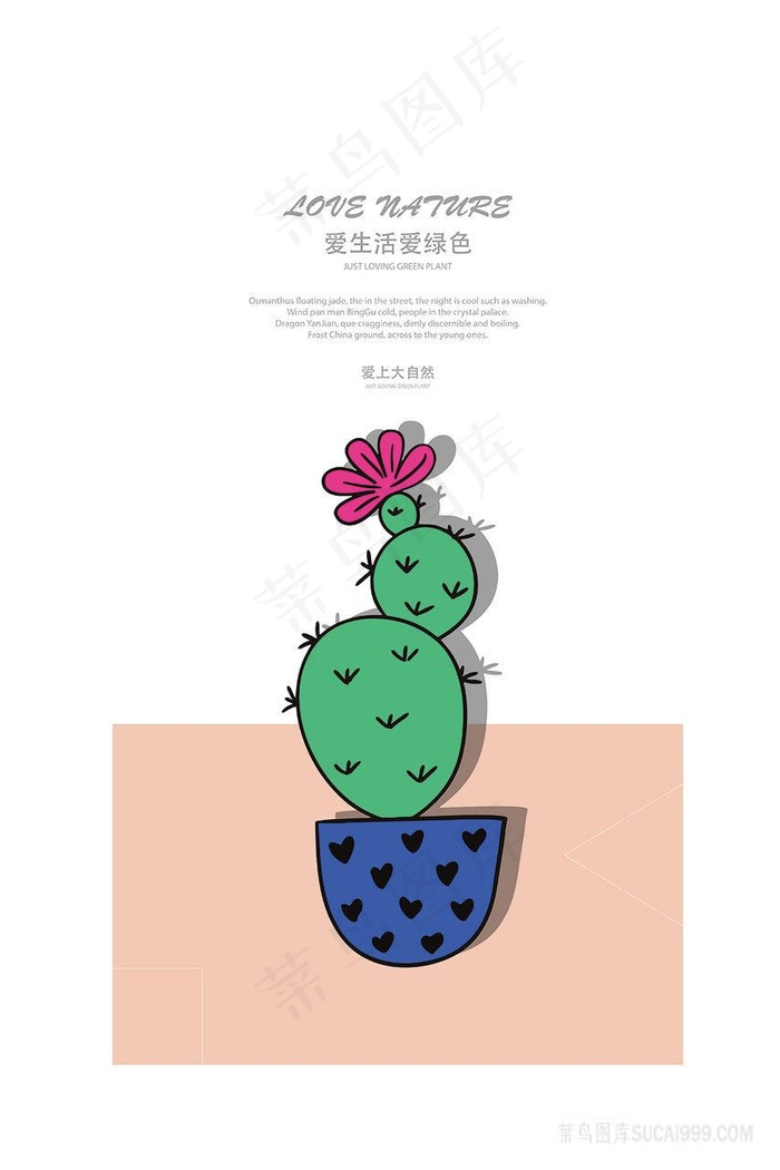 矢量仙人掌花卉插画