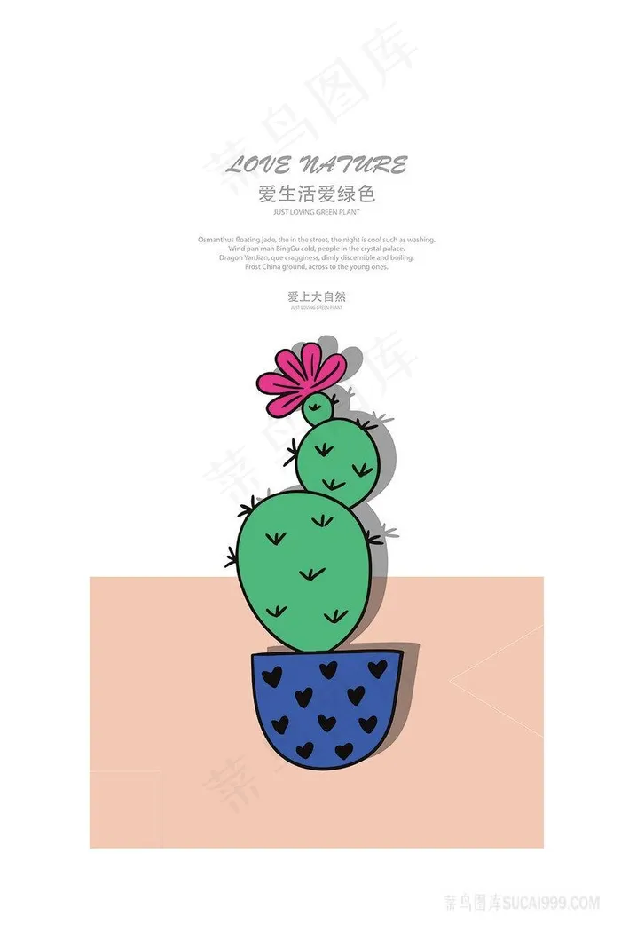 矢量仙人掌花卉插画