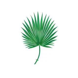 棕叶绿叶树叶免抠