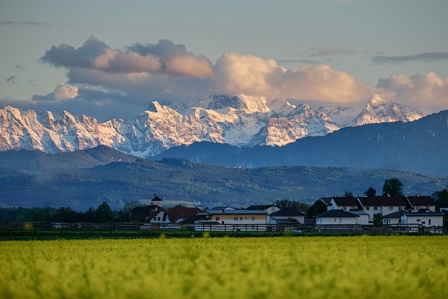 冬天自然背景风景