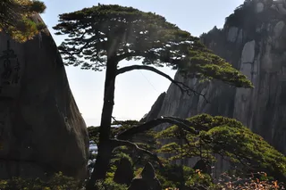 安徽黄山风景图片-第16张