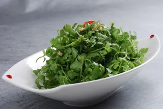 LCSC0696果仁三叶香