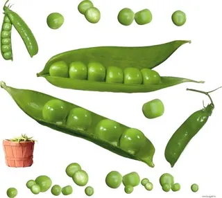豌豆免抠