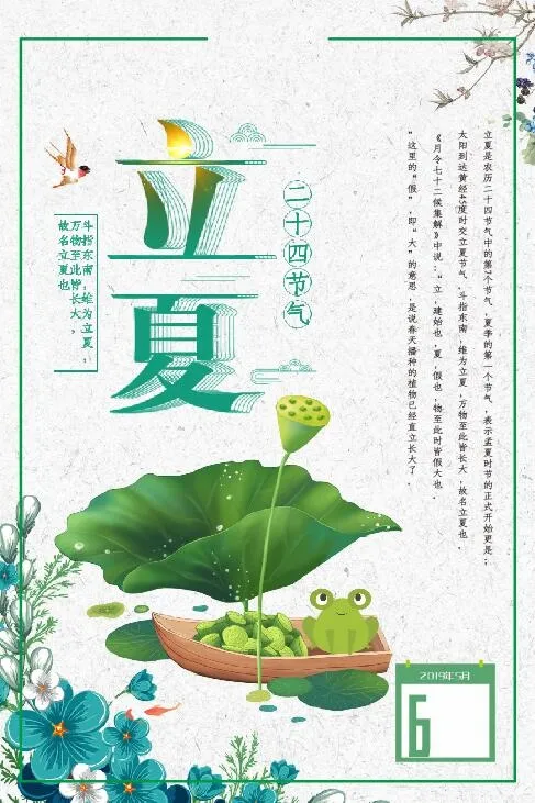 二十四节气立夏夏天荷花卡通小清新海报