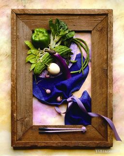 静物茄子青瓜插画