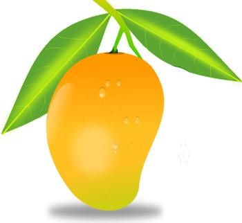 芒果 PNG免抠(350x322)
