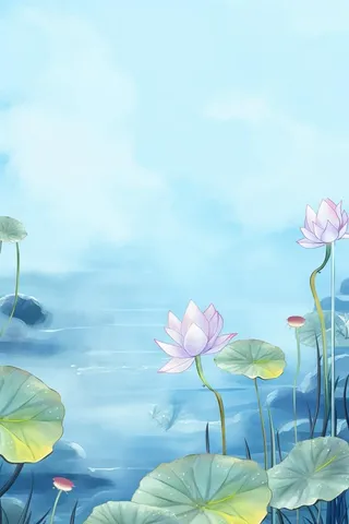 中国风清新荷花简约背景