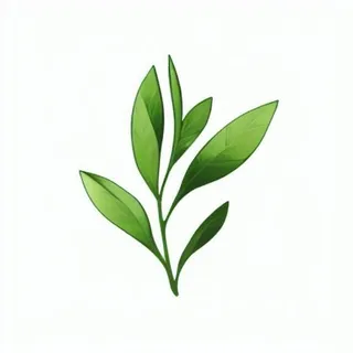 一支绿色的叶子png免抠