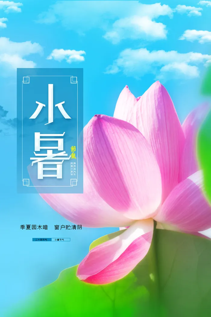 节气小暑海报