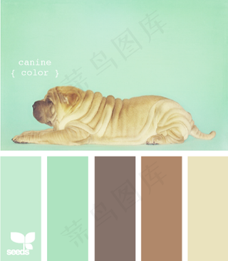 动物配色色卡色彩搭配