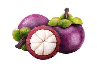 山竹 (6)水果超市商品白底图免抠实物摄影png格式图片透明底