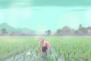 雨天农民插秧种植背景