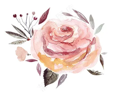 黑色背景水彩绚烂玫瑰