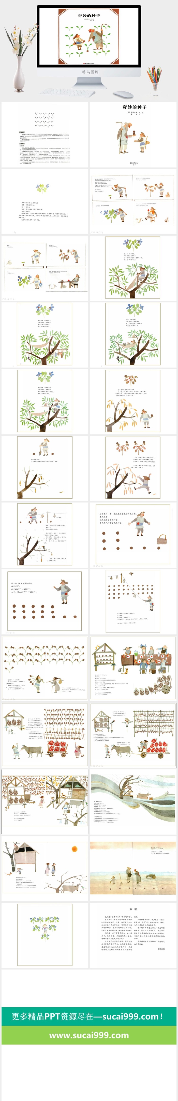 奇妙的种子幼儿园绘本故事ppt模版