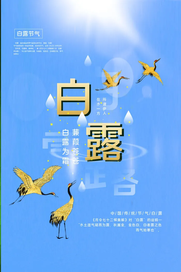 白露图片海报psd模版下载