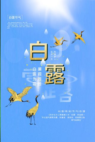 白露图片海报