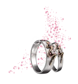 戒指古典元素传统