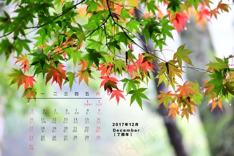 2017年12月日历桌面图片 2017年12月日历桌面图片