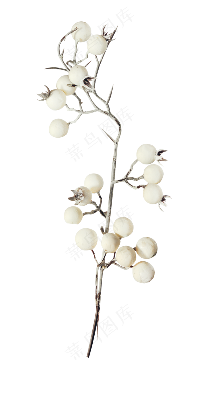 干树枝子 