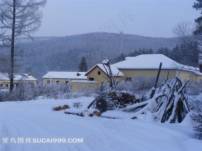 高清村庄冬雪摄影图片
