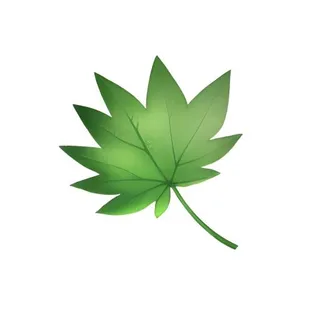 叶子绿叶树叶免抠