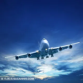 蓝天下飞翔的客机高清摄影图片 蓝天下飞翔的客机高清摄影图片
