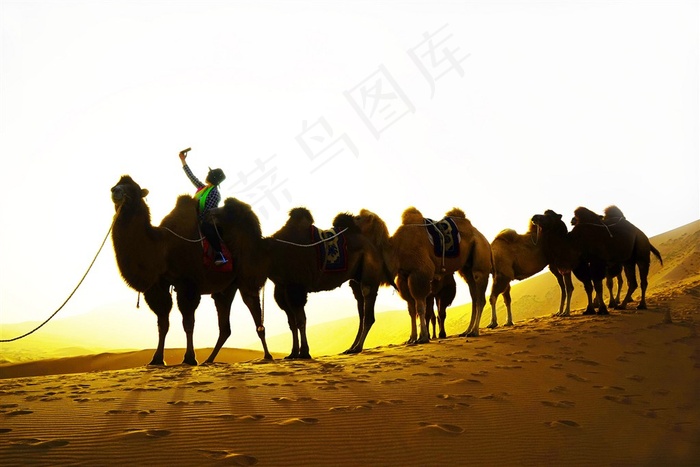 内蒙古巴丹吉林沙漠图