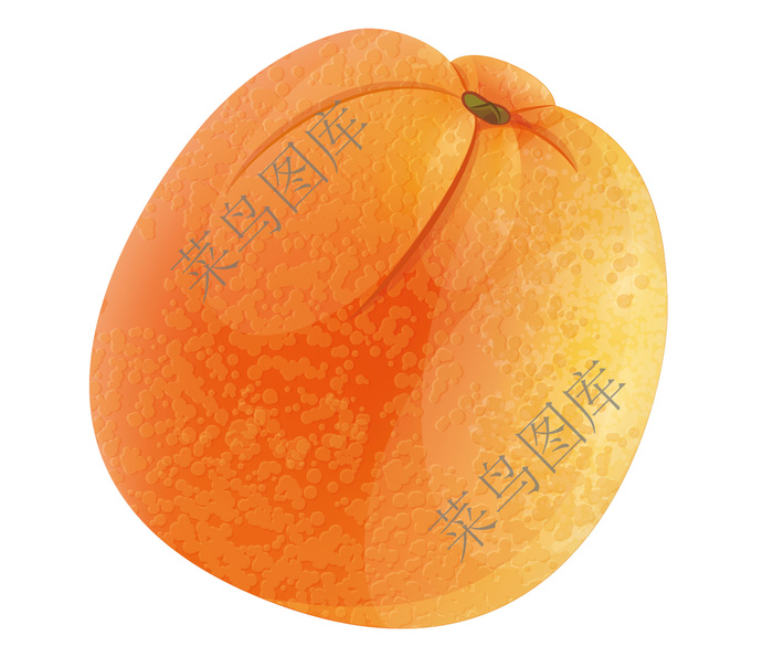 橘子，柑橘矢量图