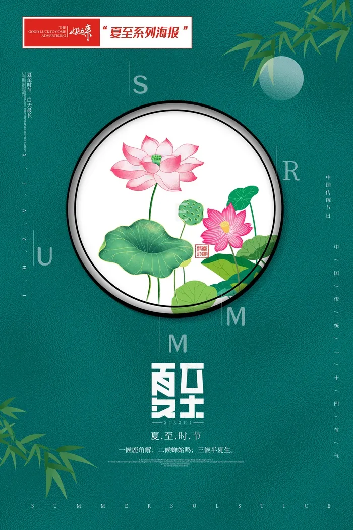 夏至海报荷花