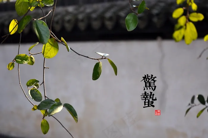 惊蛰节气繁体字图片