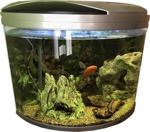 水族馆 PNG免抠