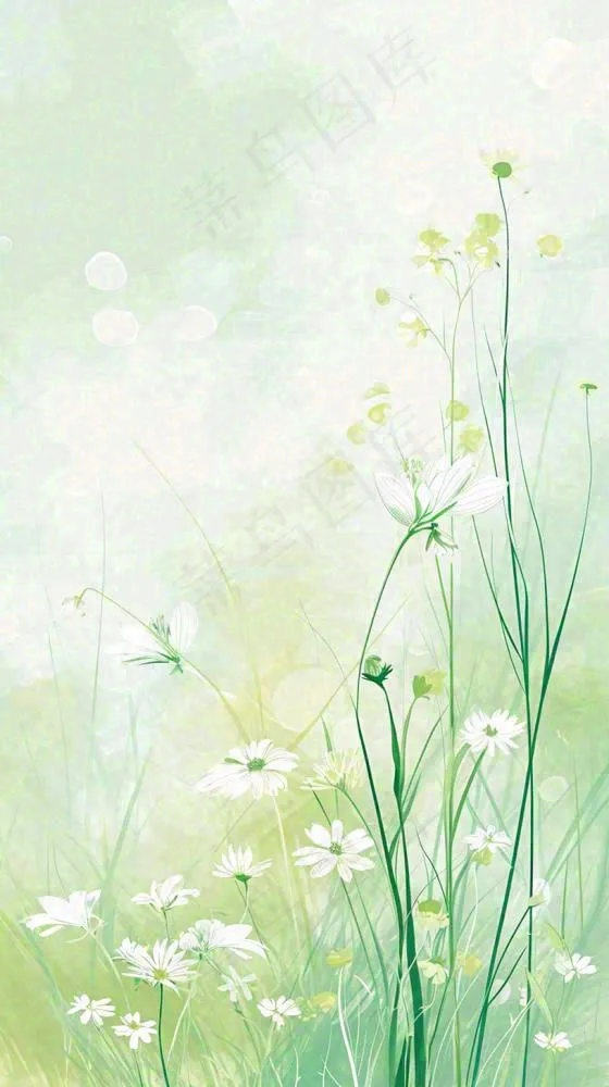 清新白色小花春天萌芽手绘，春分(816x1456)