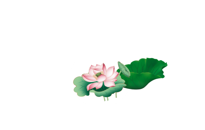 高清大图荷花荷叶搭配免扣透明素材