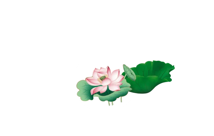 高清大图荷花荷叶搭配免扣透明素材