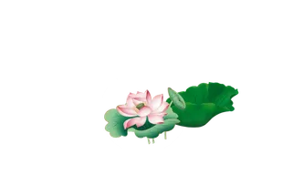 高清大图荷花荷叶搭配免扣透明素材