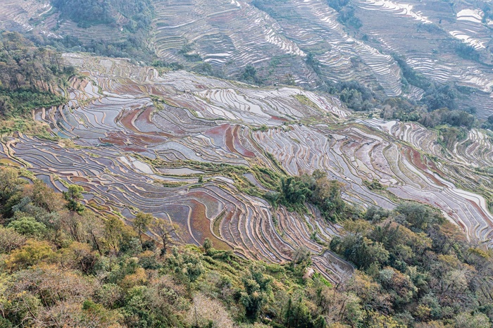 元阳坝达梯田