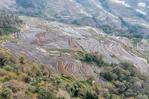 元阳坝达梯田