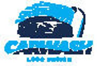 手绘失量汽车标志