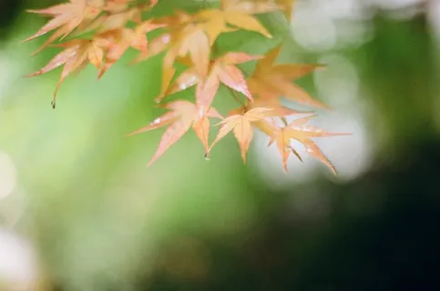 2016年6月日历壁纸 2016年6月日历壁纸